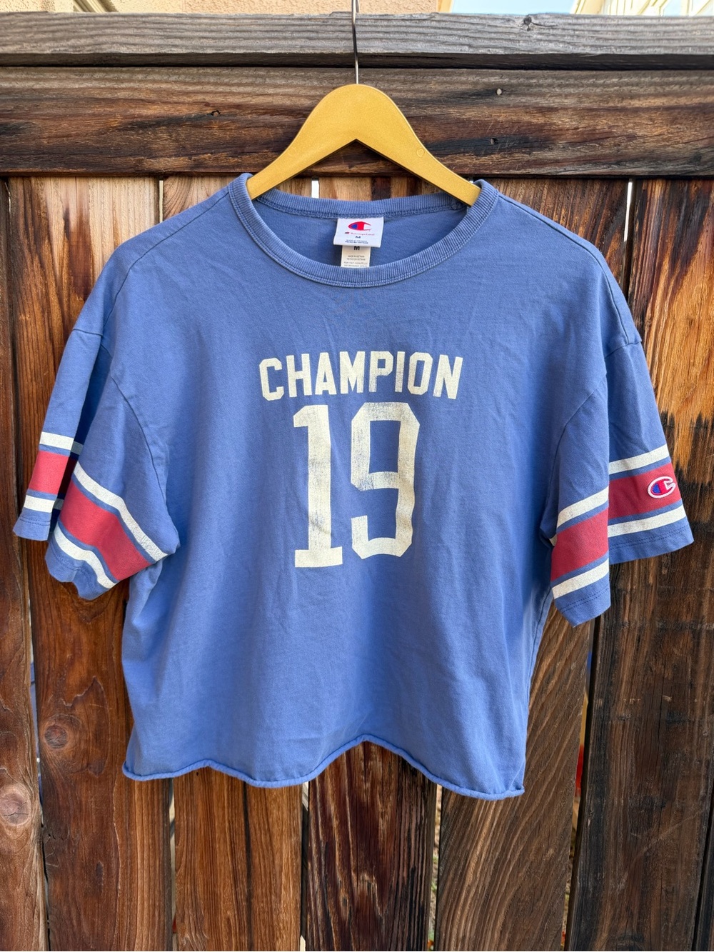 Champion 19 Graphic Striped Crop Top Tee Blue M